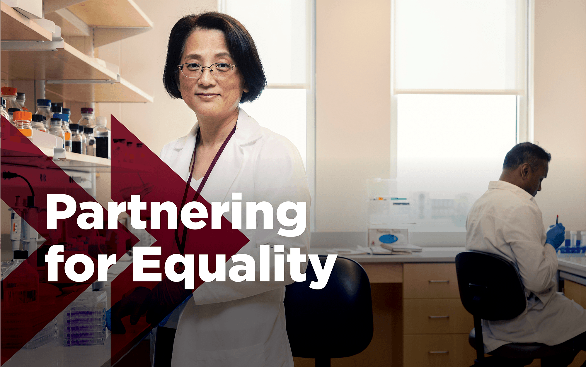 partnering for equality header