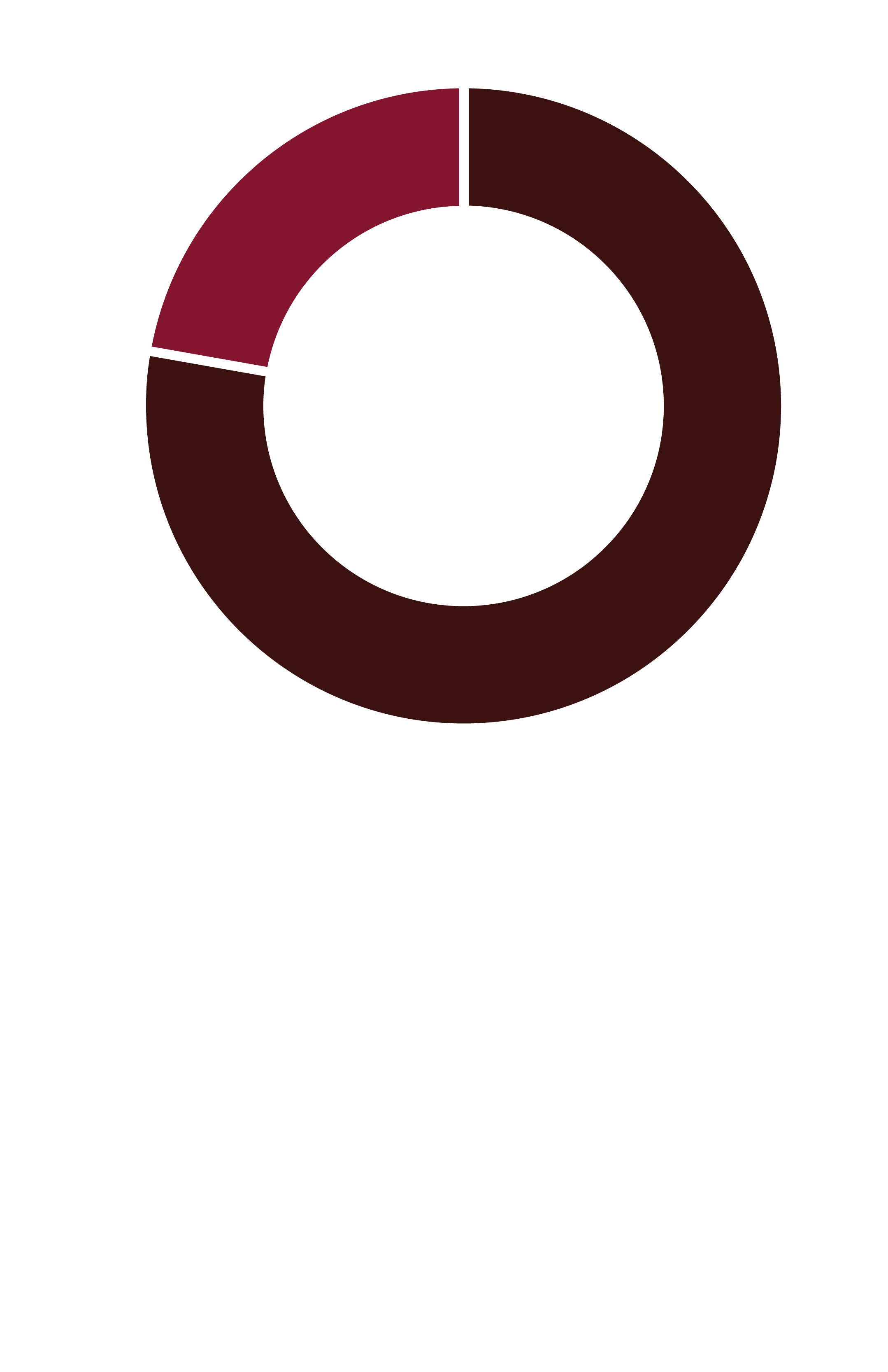 77% of healthcare and social assistance workers are women